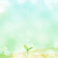 アーユルヴェーダへの想い