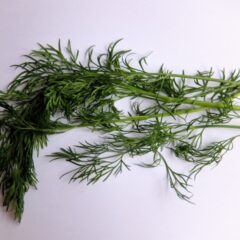 ドライハーブの作り方！正しい自然乾燥のやり方と保存方法をご紹介