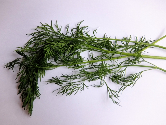 ドライハーブを作る様子