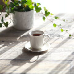 リラックスできる店舗の内装の特徴は？視覚情報が与える影響を解説