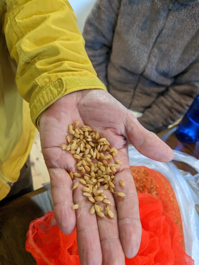 アタルバクンクマディオイル10ml 濃密美容オイル クンクマディタイラ